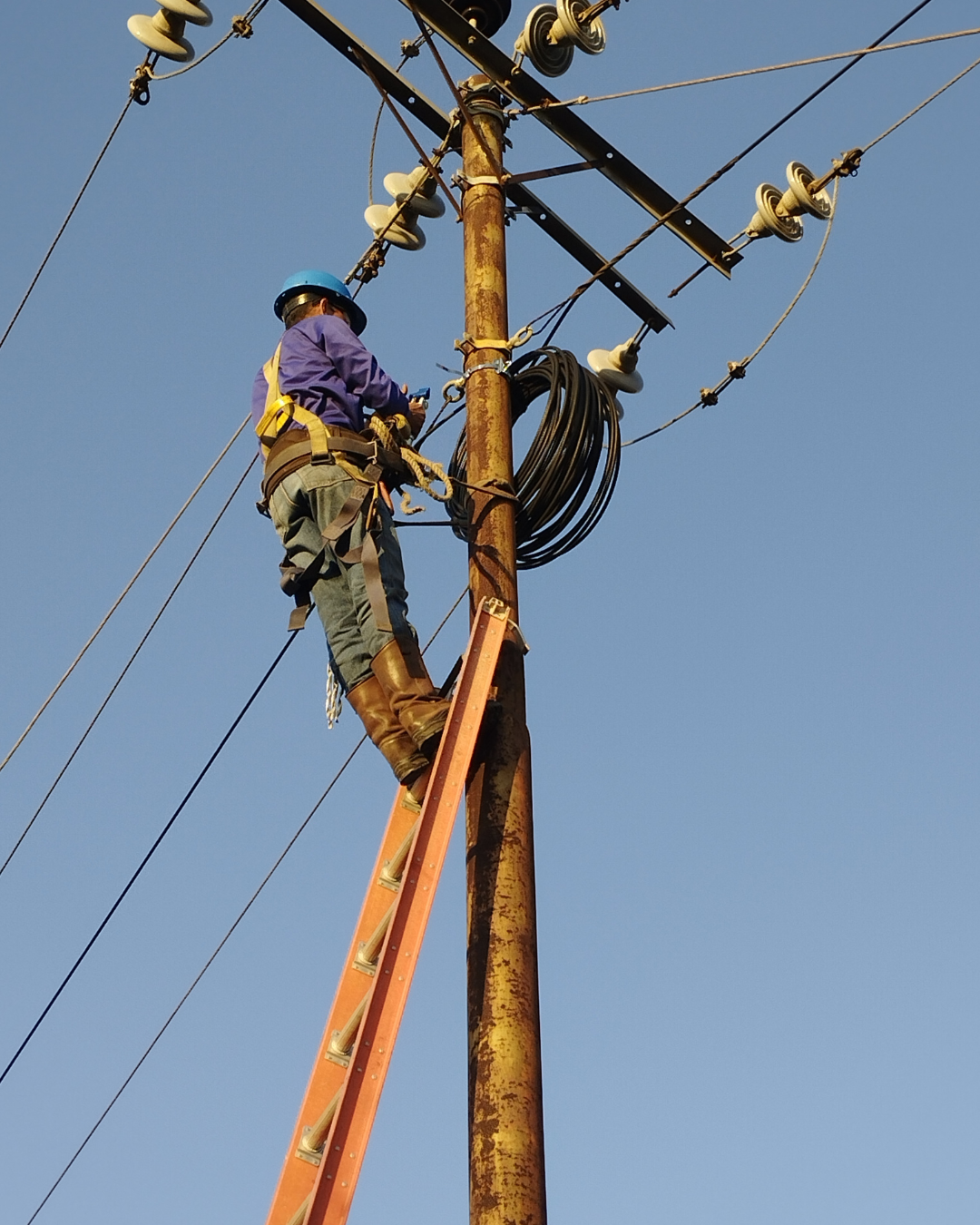 Diseño sin título - 2026-02-27T094826.597