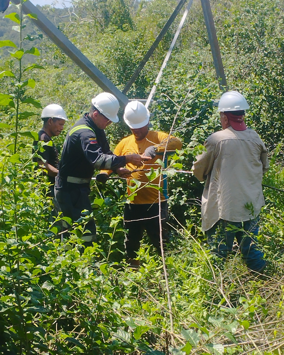 Diseño sin título - 2026-02-27T104709.714